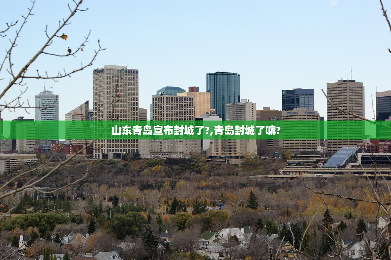 山东青岛宣布封城了?,青岛封城了嘛? 山东青岛宣布封城了?,青岛封城了嘛?