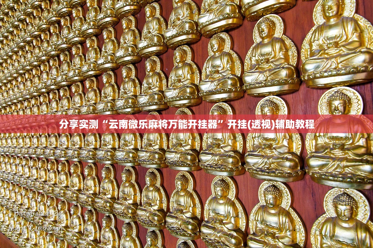 分享实测“云南微乐麻将万能开挂器	”开挂(透视)辅助教程