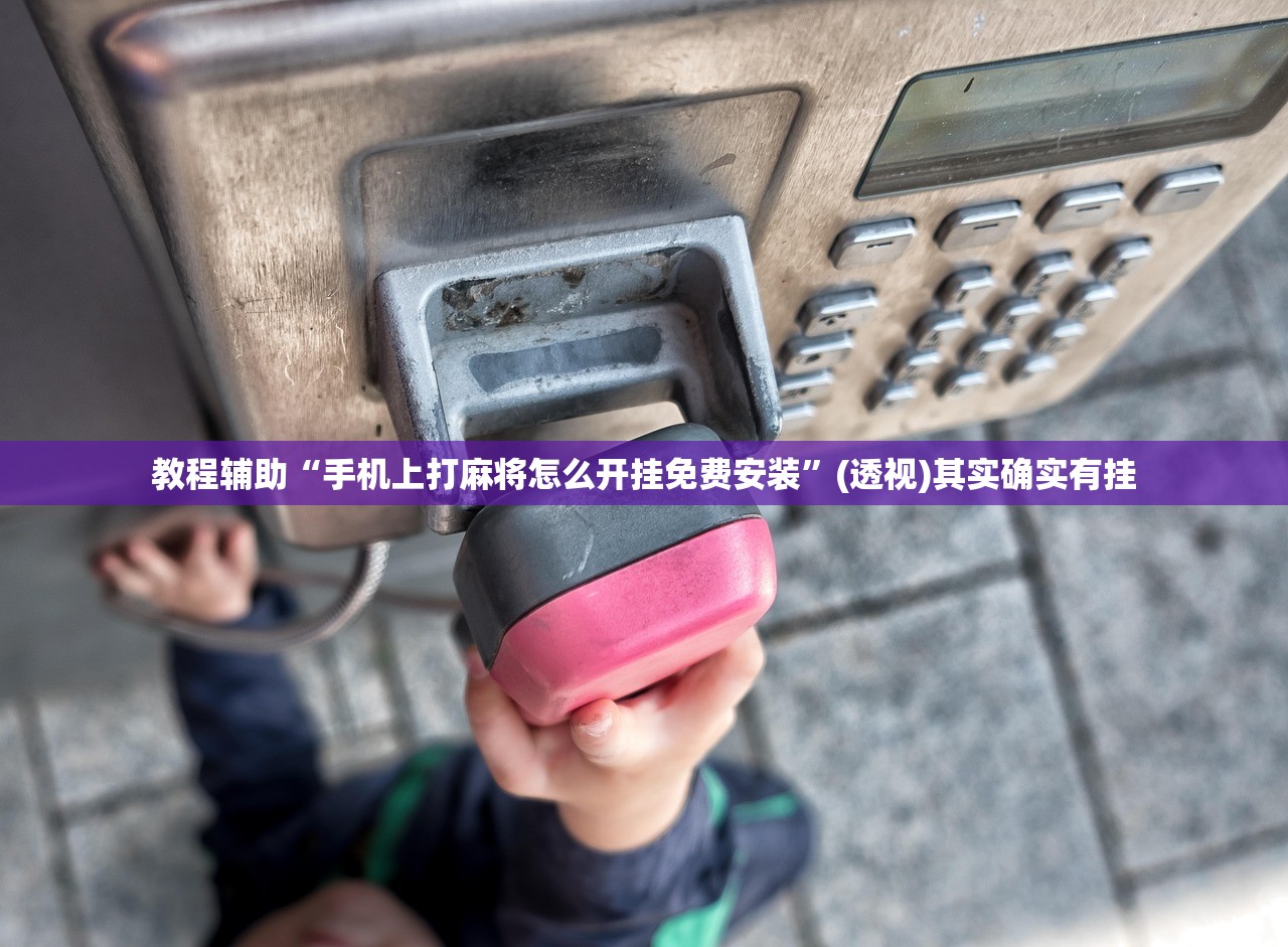 教程辅助“手机上打麻将怎么开挂免费安装”(透视)其实确实有挂