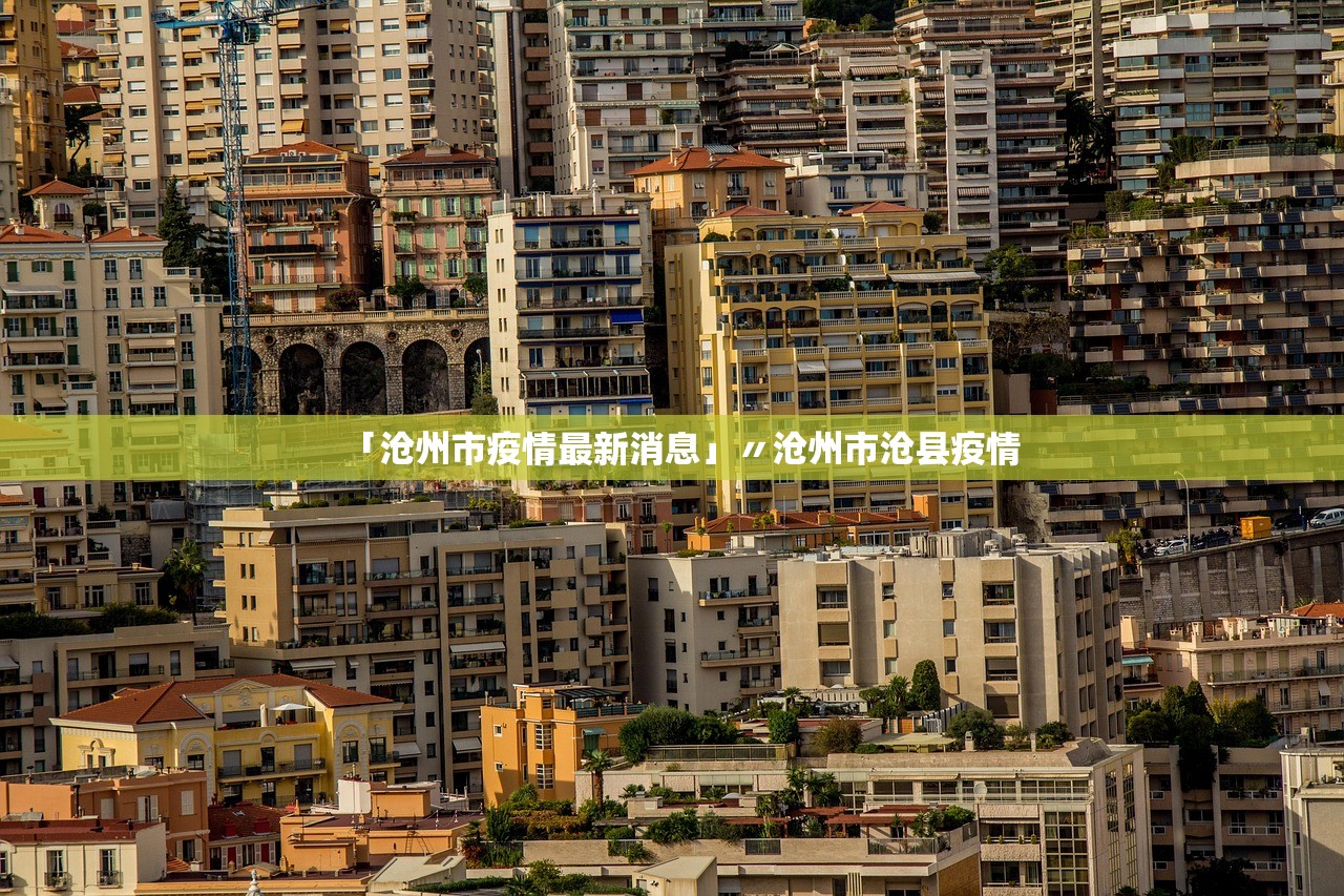 「沧州市疫情最新消息」〃沧州市沧县疫情