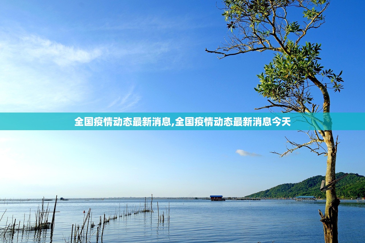 全国疫情动态最新消息,全国疫情动态最新消息今天