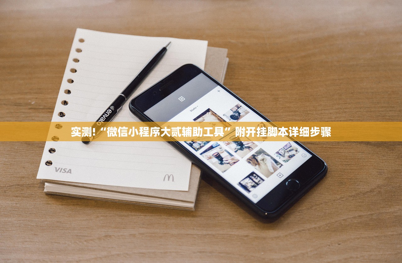 实测!“微信小程序大贰辅助工具”附开挂脚本详细步骤
