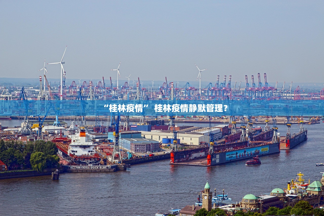 “桂林疫情” 桂林疫情静默管理？