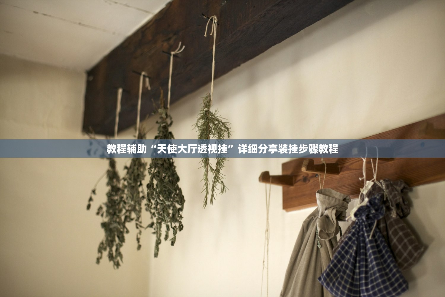 教程辅助“天使大厅透视挂”详细分享装挂步骤教程