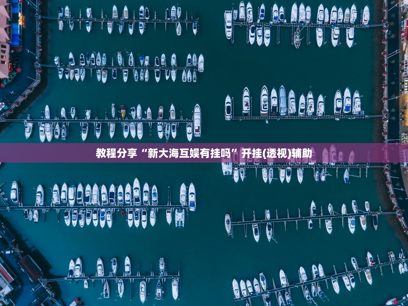 教程分享“新大海互娱有挂吗”开挂(透视)辅助
