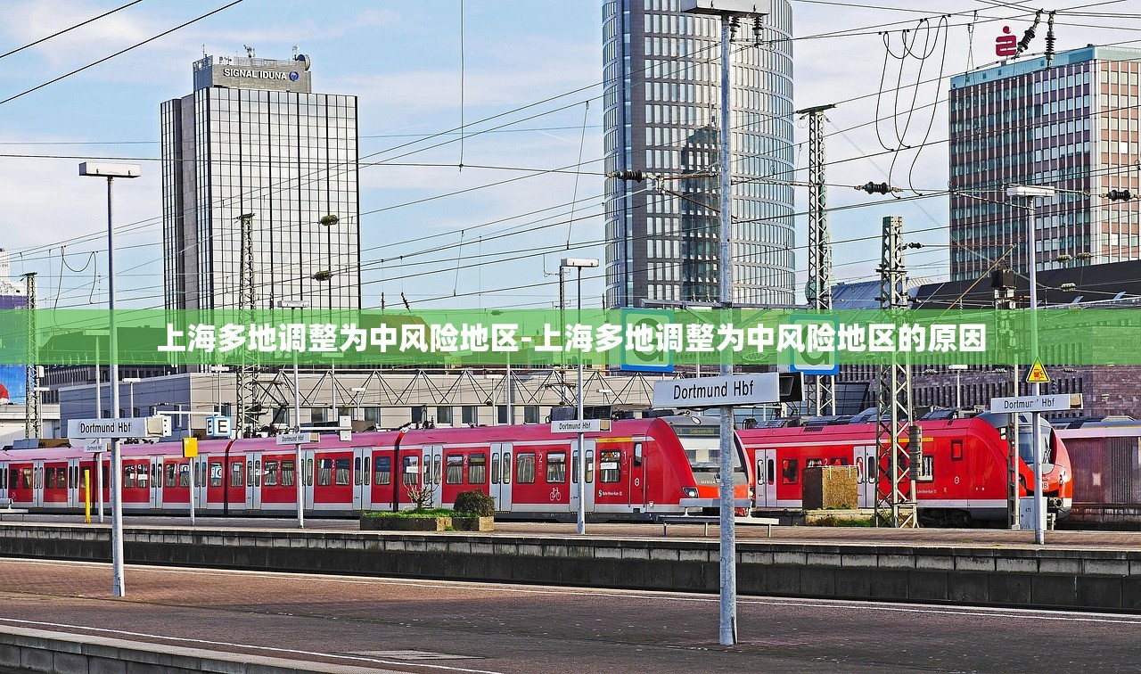 上海多地调整为中风险地区-上海多地调整为中风险地区的原因