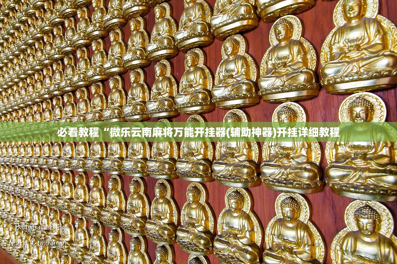 必看教程“微乐云南麻将万能开挂器(辅助神器)开挂详细教程