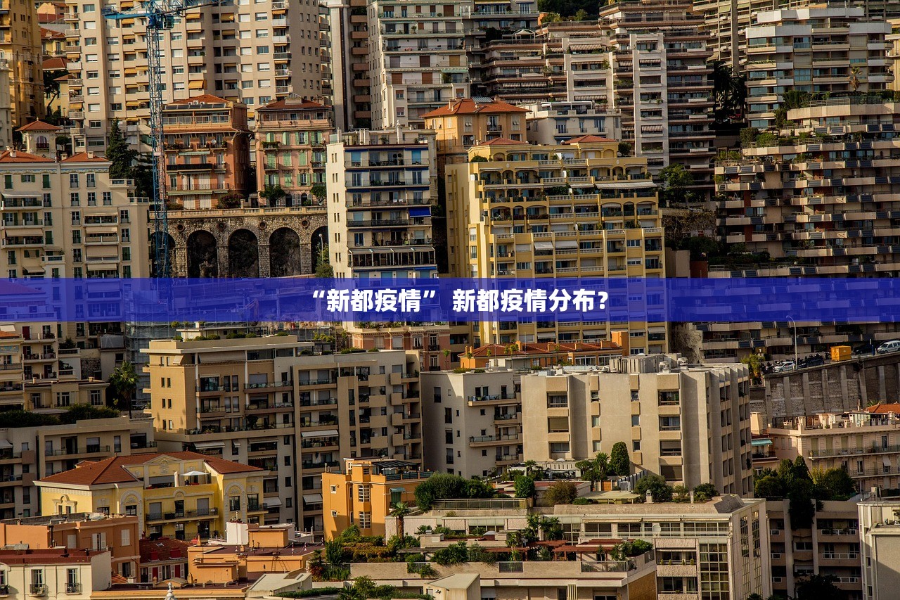“新都疫情” 新都疫情分布？
