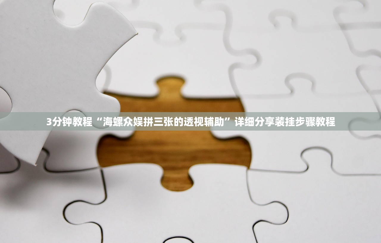 3分钟教程“海螺众娱拼三张的透视辅助”详细分享装挂步骤教程