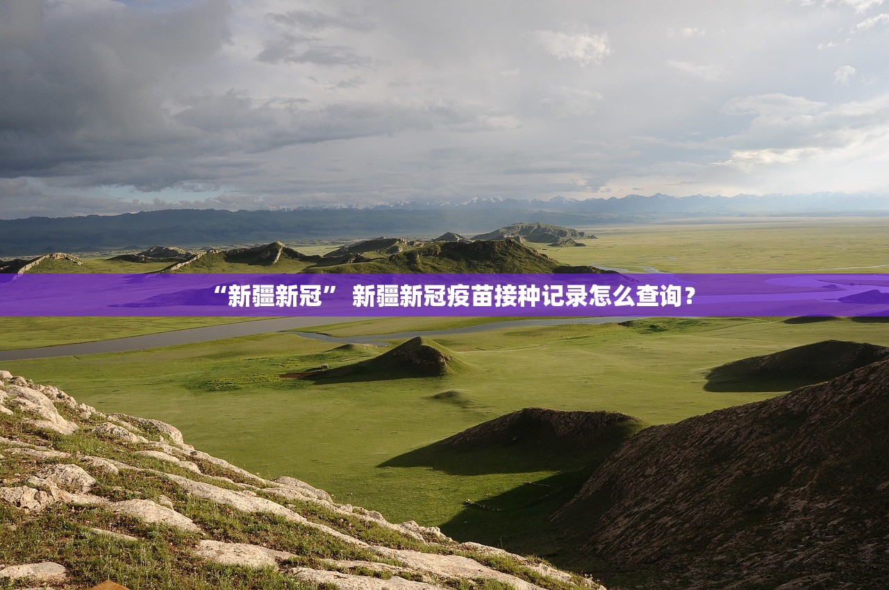 “新疆新冠	” 新疆新冠疫苗接种记录怎么查询？