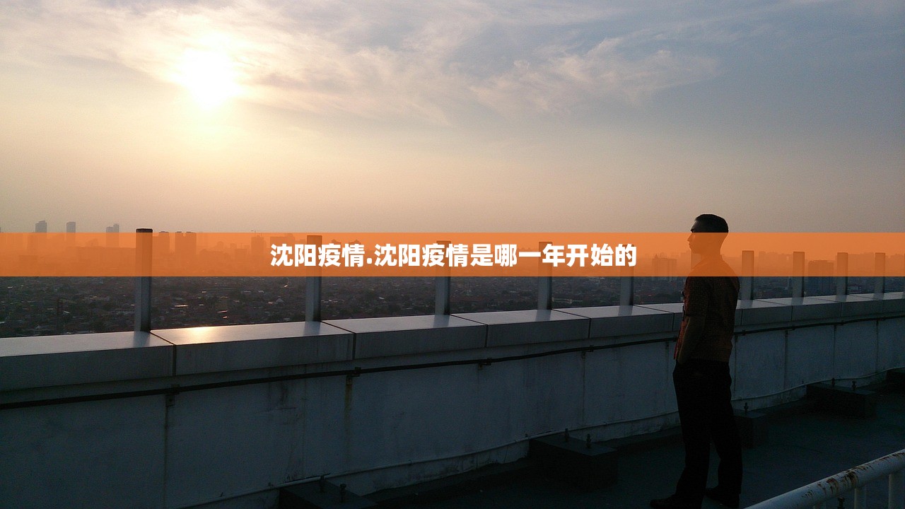 沈阳疫情.沈阳疫情是哪一年开始的