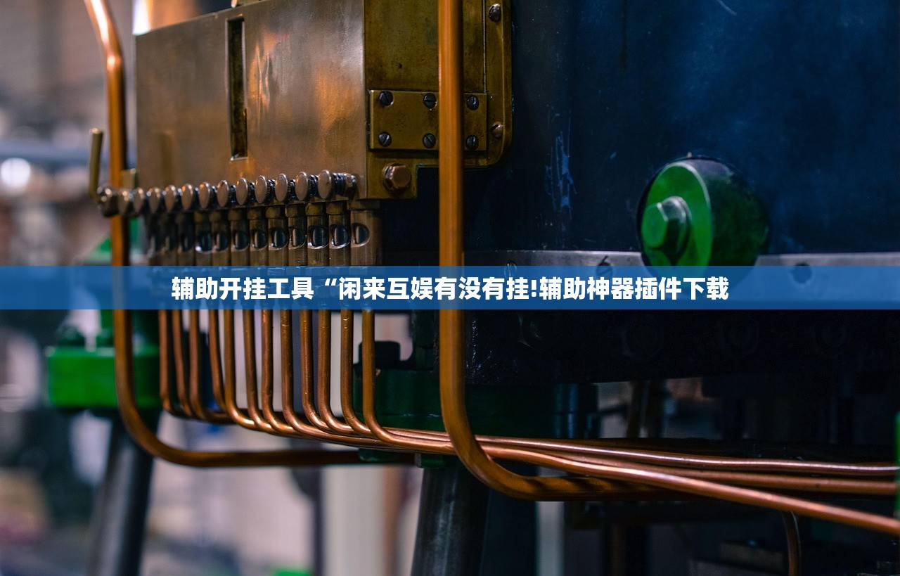 辅助开挂工具“闲来互娱有没有挂!辅助神器插件下载