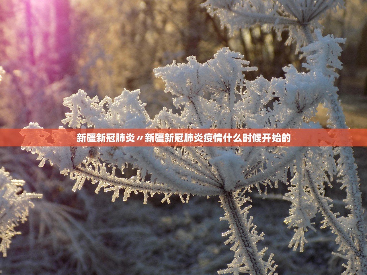 新疆新冠肺炎〃新疆新冠肺炎疫情什么时候开始的