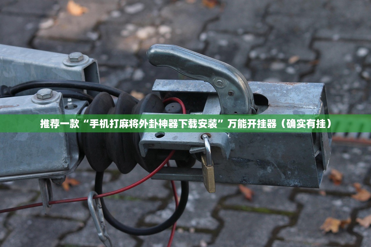 推荐一款“手机打麻将外卦神器下载安装	”万能开挂器（确实有挂）