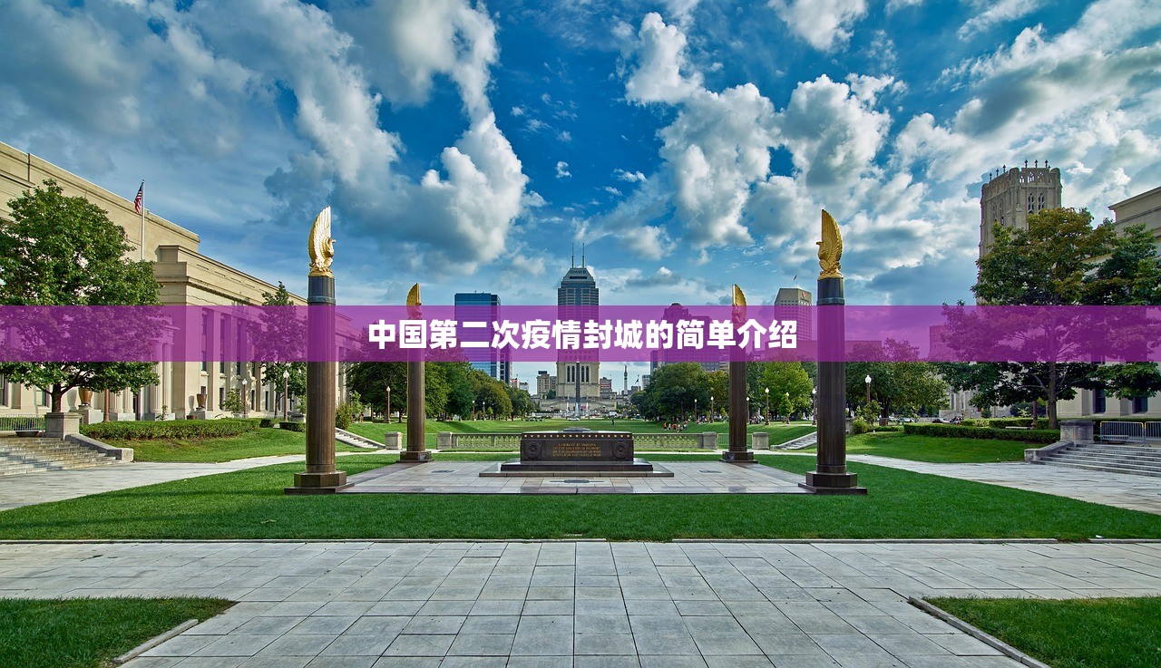 中国第二次疫情封城的简单介绍