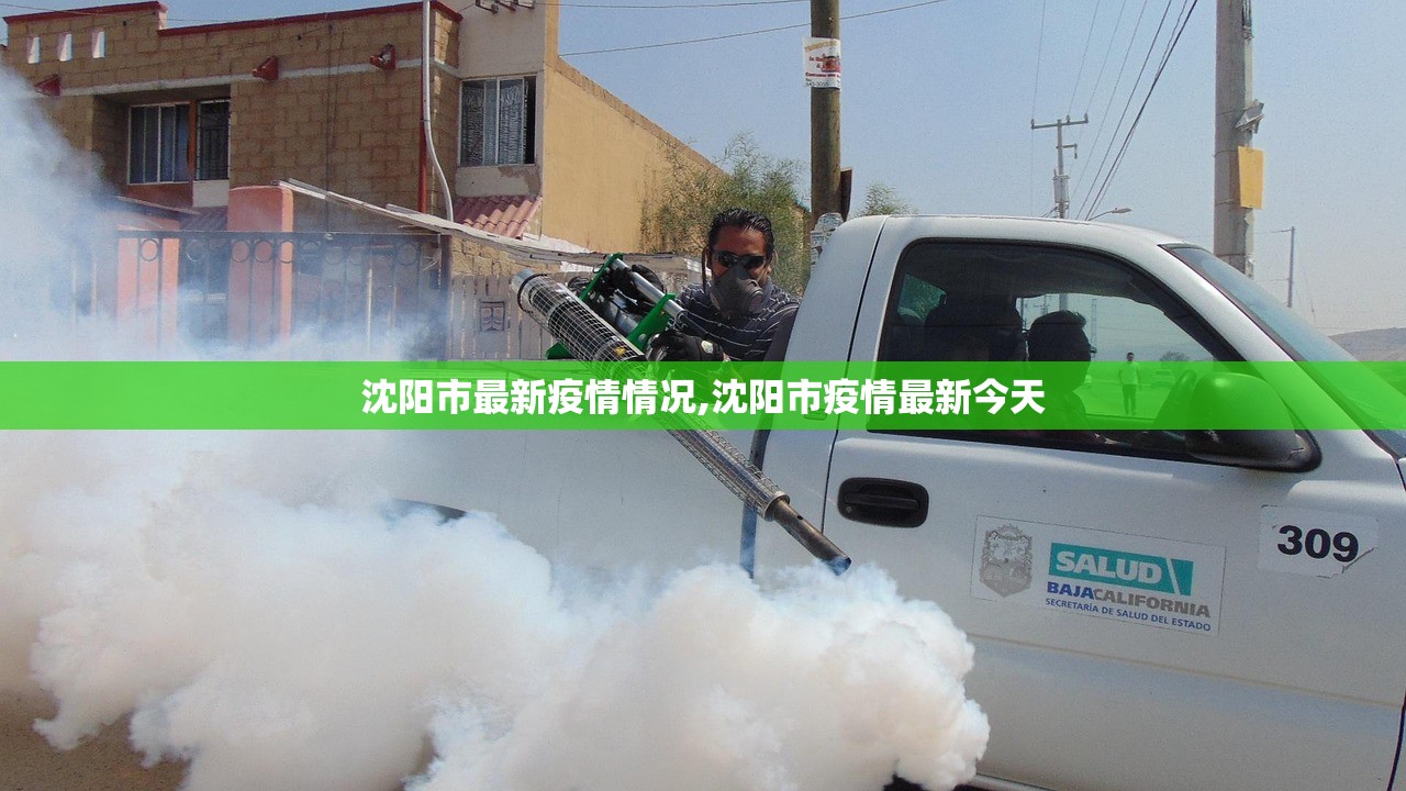 沈阳市最新疫情情况,沈阳市疫情最新今天