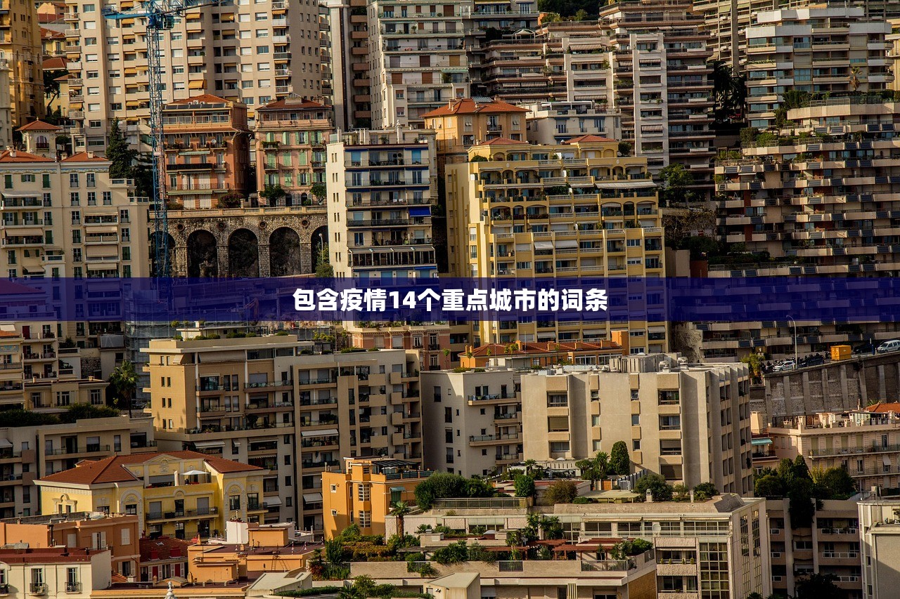 包含疫情14个重点城市的词条