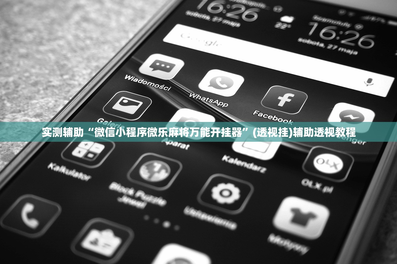 实测辅助“微信小程序微乐麻将万能开挂器”(透视挂)辅助透视教程