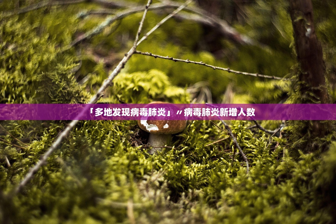 「多地发现病毒肺炎」〃病毒肺炎新增人数