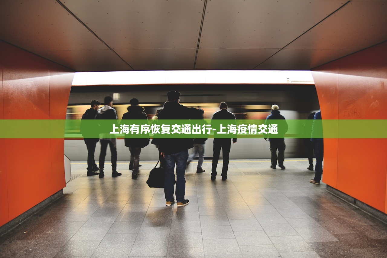 上海有序恢复交通出行-上海疫情交通