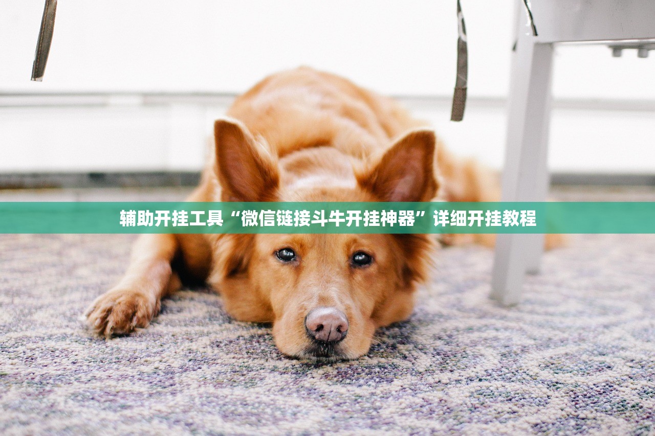 辅助开挂工具“微信链接斗牛开挂神器”详细开挂教程