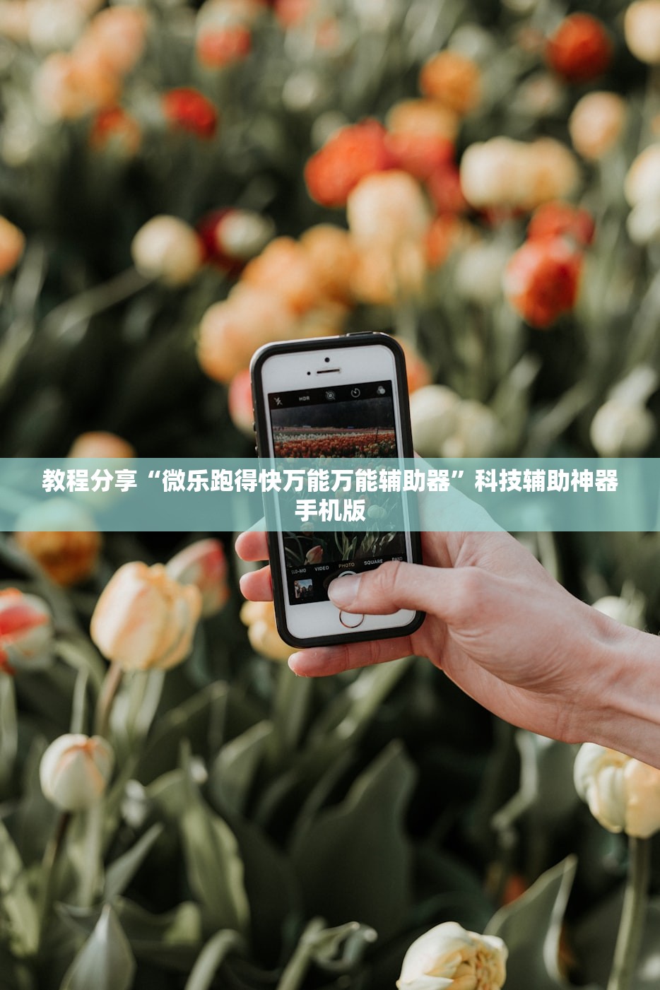 教程分享“微乐跑得快万能万能辅助器”科技辅助神器手机版