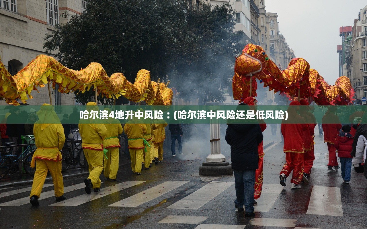 哈尔滨4地升中风险︰(哈尔滨中风险还是低风险)
