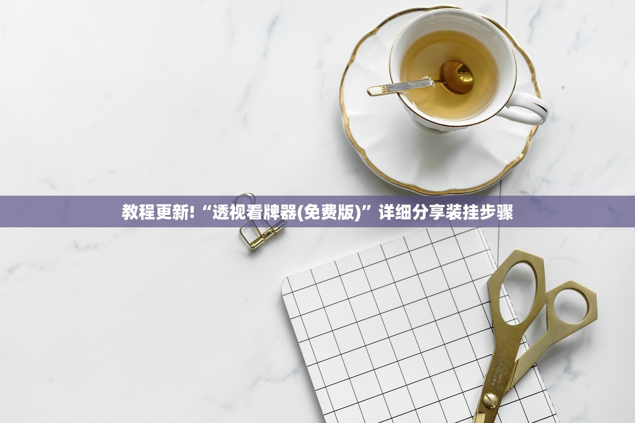 教程更新!“透视看牌器(免费版)”详细分享装挂步骤