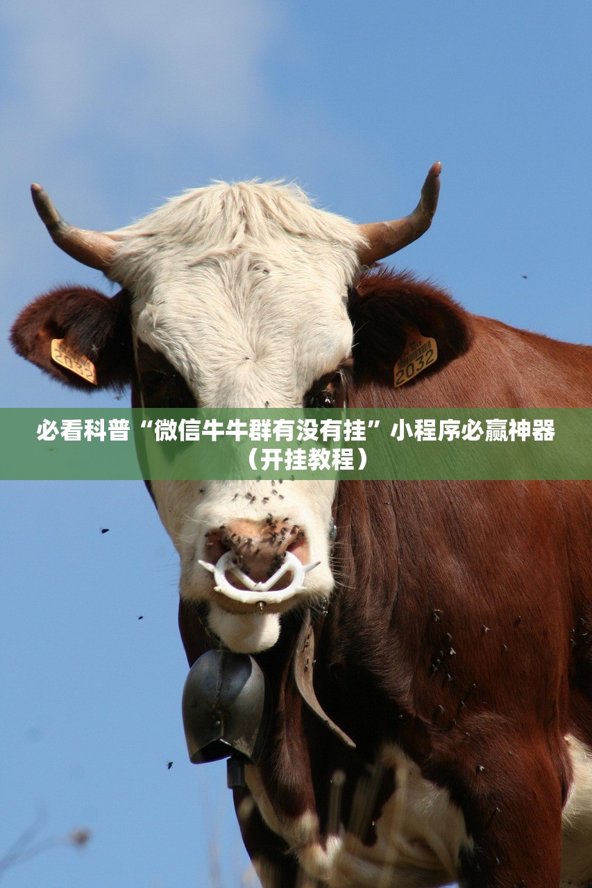 必看科普“微信牛牛群有没有挂”小程序必赢神器（开挂教程）