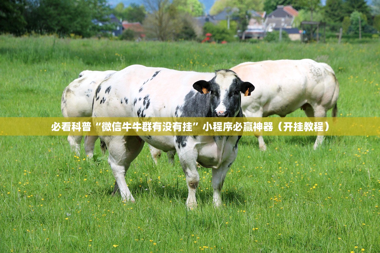 必看科普“微信牛牛群有没有挂”小程序必赢神器（开挂教程）