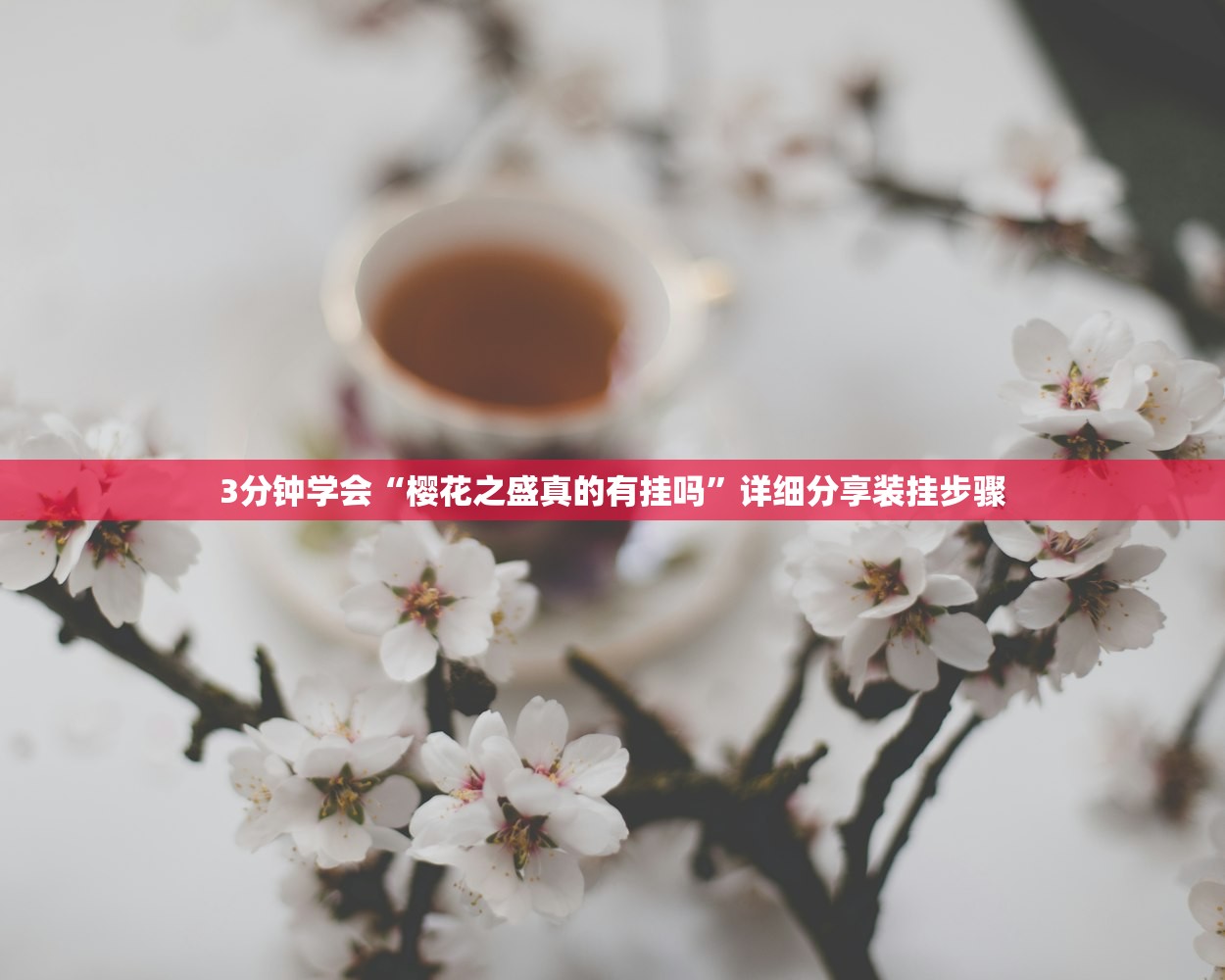 3分钟学会“樱花之盛真的有挂吗	”详细分享装挂步骤