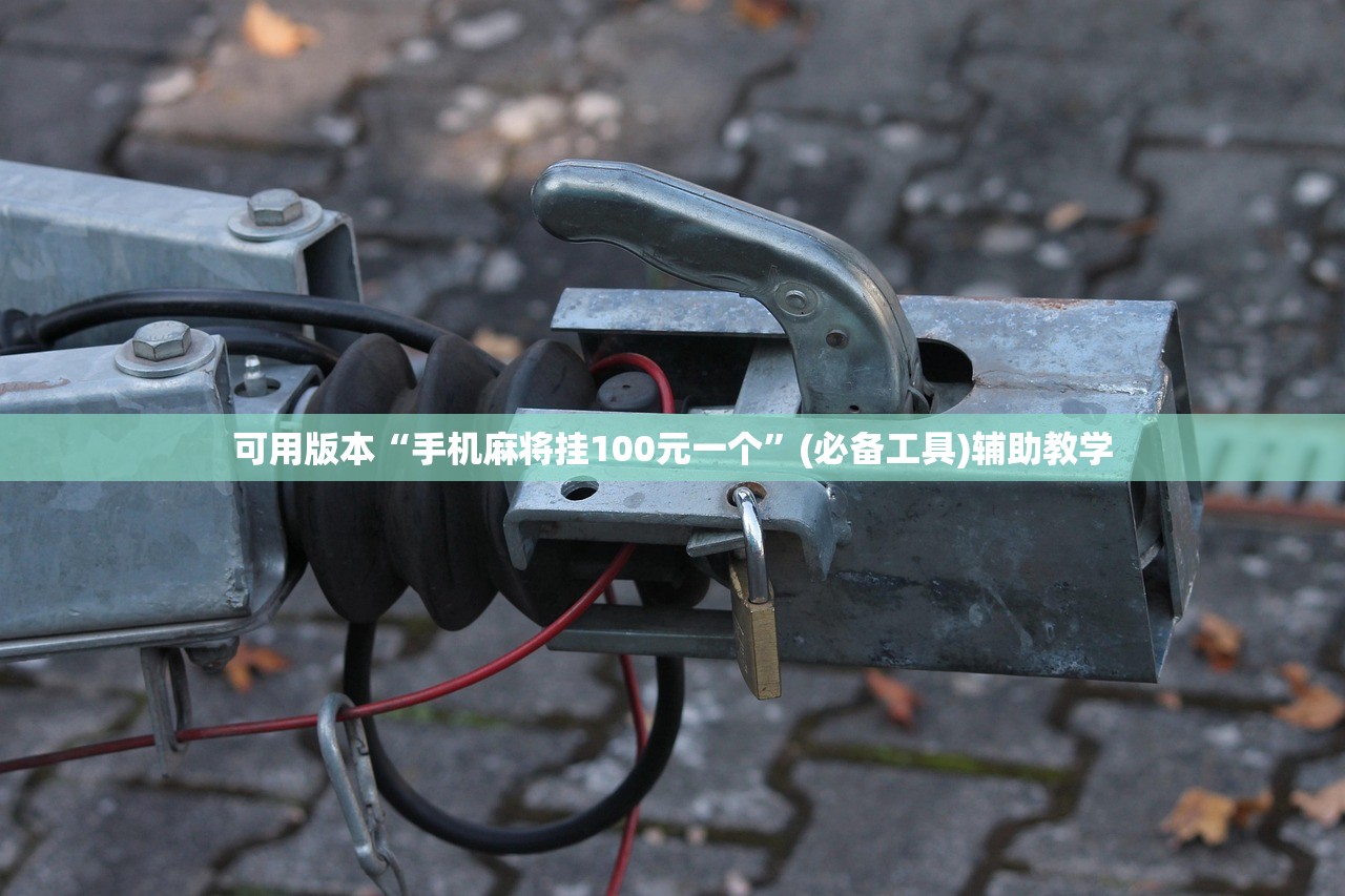 可用版本“手机麻将挂100元一个”(必备工具)辅助教学