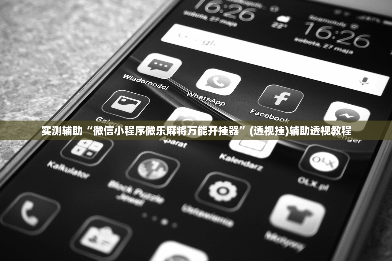 实测辅助“微信小程序微乐麻将万能开挂器”(透视挂)辅助透视教程