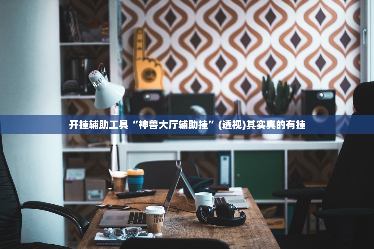 开挂辅助工具“神兽大厅辅助挂”(透视)其实真的有挂