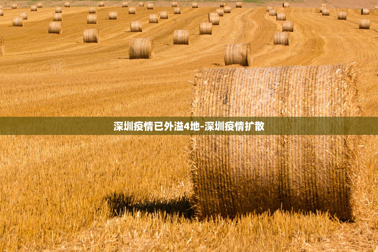 深圳疫情已外溢4地-深圳疫情扩散