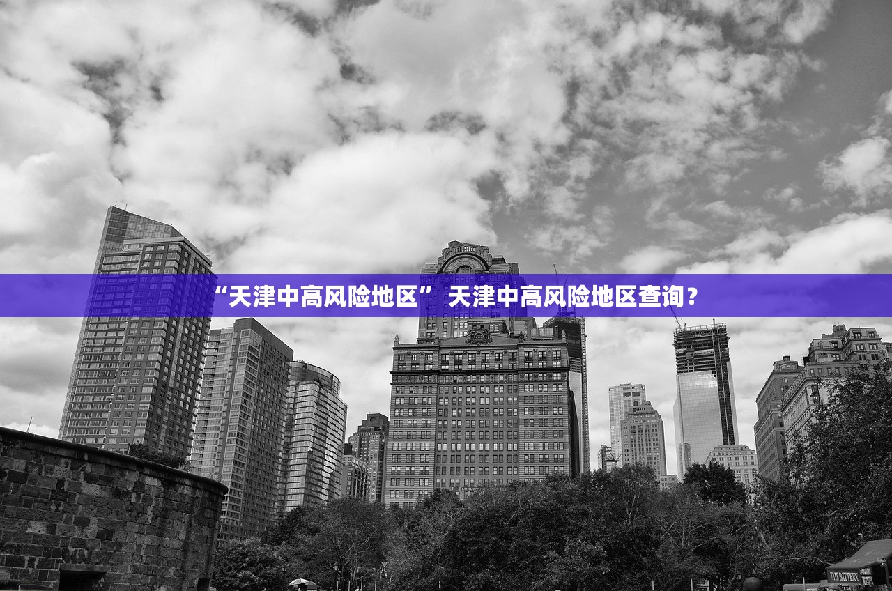 “天津中高风险地区	” 天津中高风险地区查询？