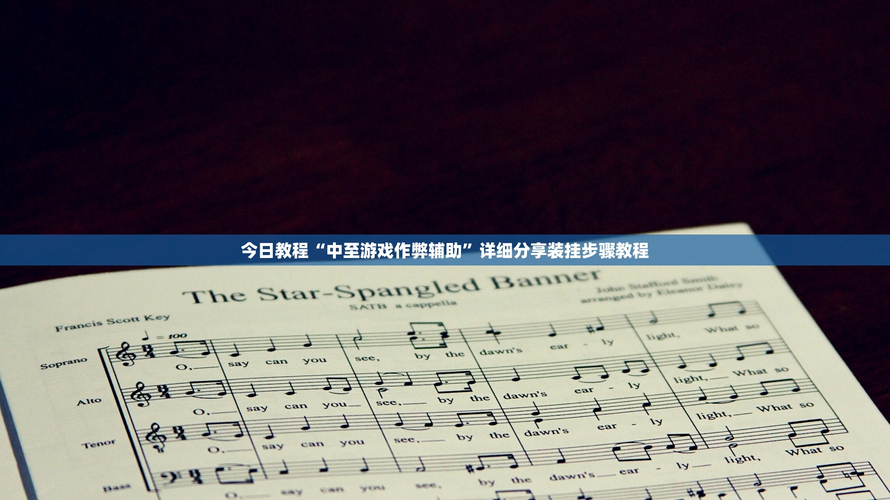 今日教程“中至游戏作弊辅助	”详细分享装挂步骤教程