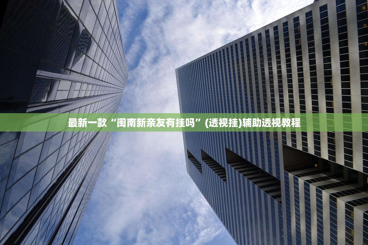 最新一款“闽南新亲友有挂吗”(透视挂)辅助透视教程