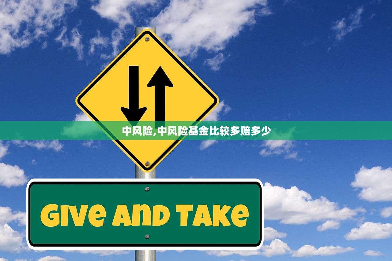 中风险,中风险基金比较多赔多少 中风险,中风险基金比较多赔多少