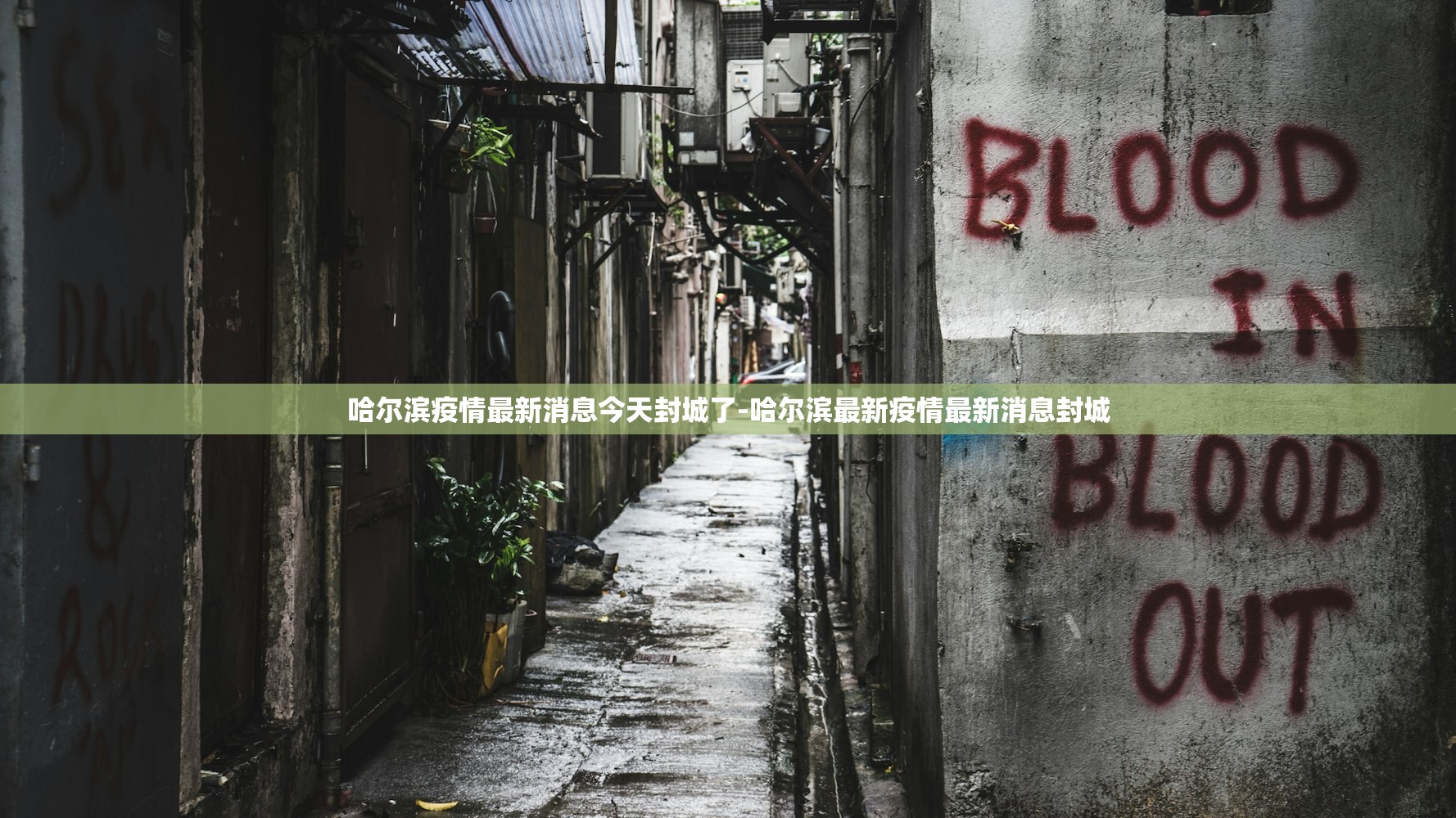 哈尔滨疫情最新消息今天封城了-哈尔滨最新疫情最新消息封城 哈尔滨疫情最新消息今天封城了-哈尔滨最新疫情最新消息封城