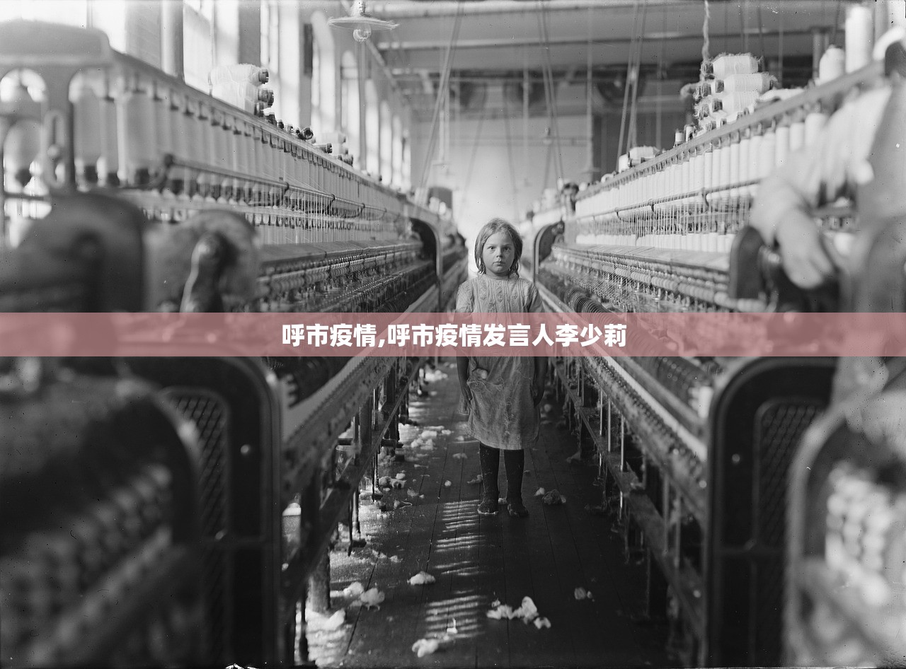 呼市疫情,呼市疫情发言人李少莉 呼市疫情,呼市疫情发言人李少莉