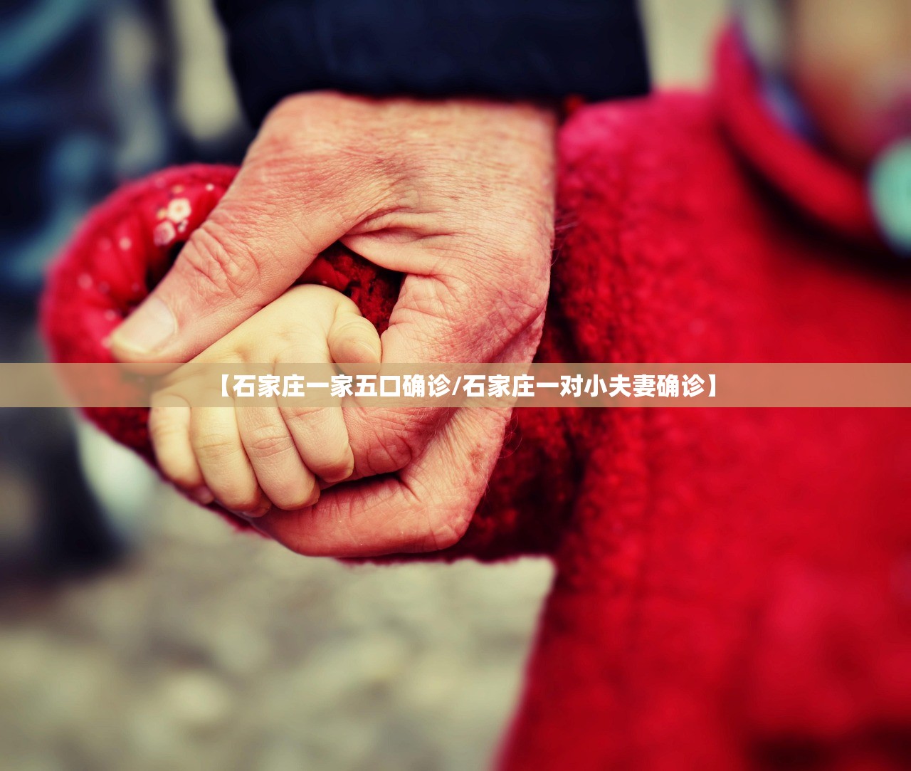 【石家庄一家五口确诊/石家庄一对小夫妻确诊】 【石家庄一家五口确诊/石家庄一对小夫妻确诊】