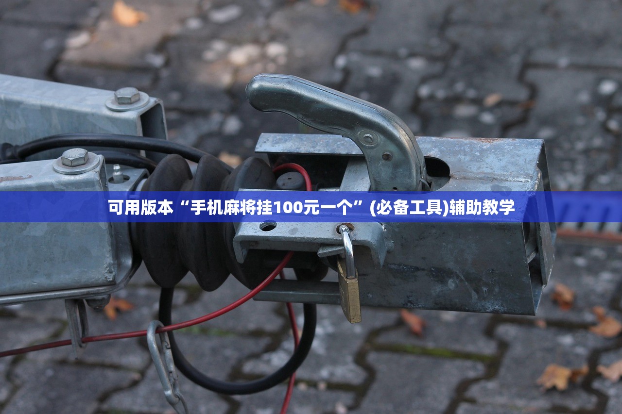 可用版本“手机麻将挂100元一个”(必备工具)辅助教学