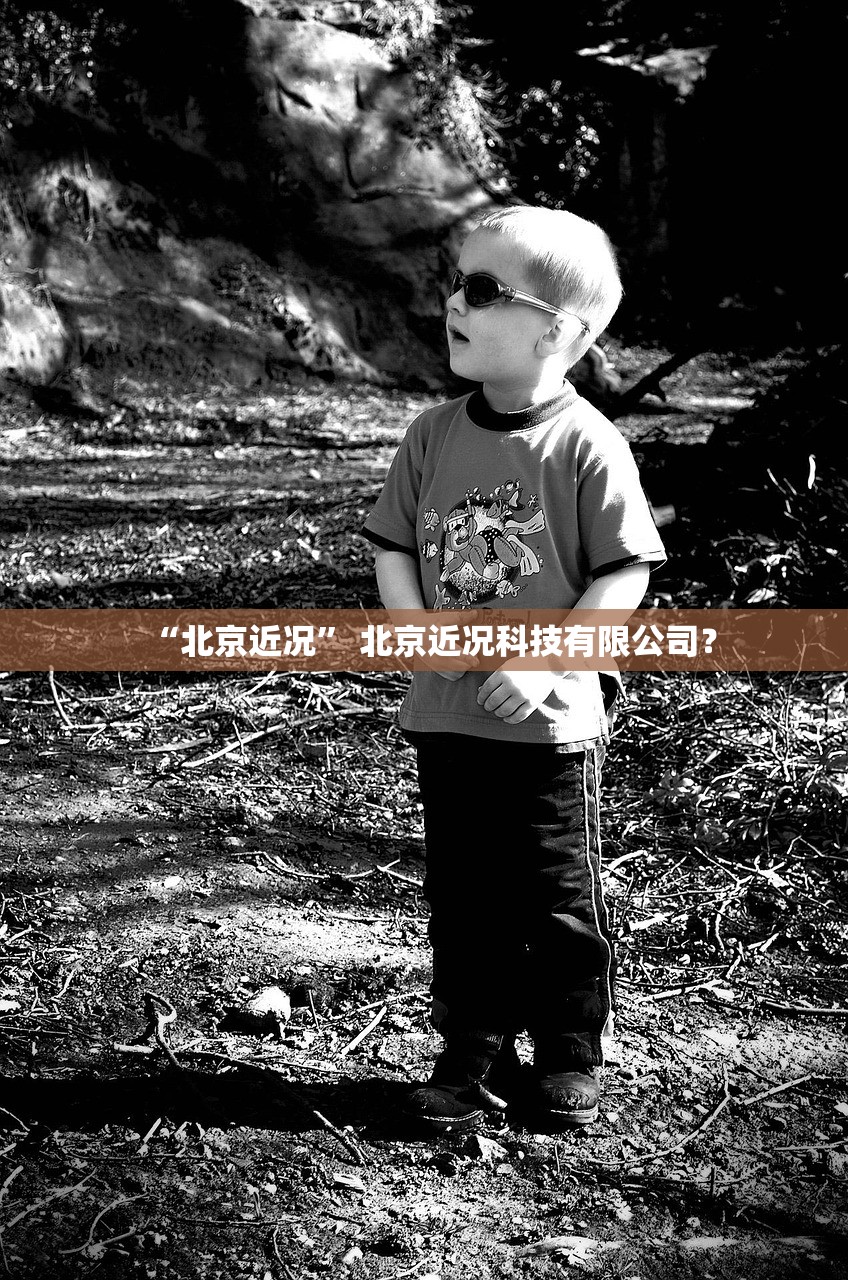 “北京近况	” 北京近况科技有限公司？