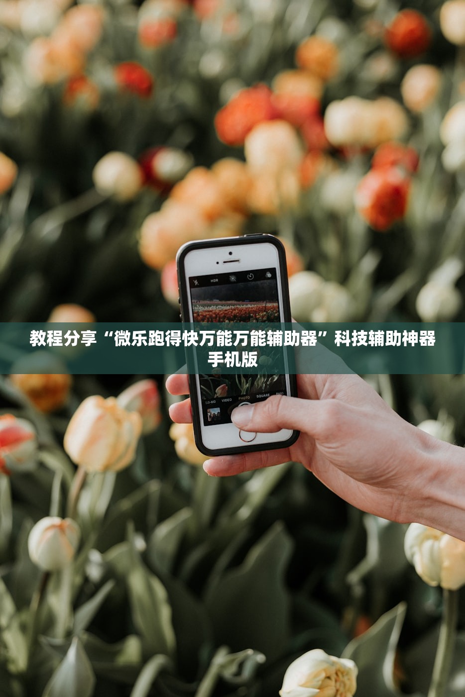教程分享“微乐跑得快万能万能辅助器”科技辅助神器手机版
